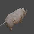 Realistic 3D Rendered Rhinoceros Model With Detailed Texture And Standing Pose