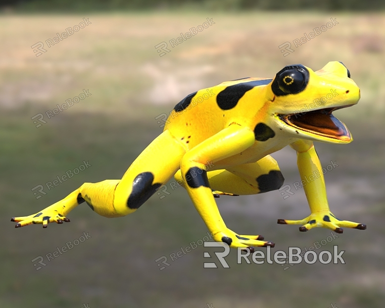 Ze's spotted toad Panamanian frog Bufo model