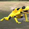 Ze'spotted toad Panamanian frog Bufo 3d model