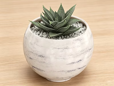 Green Succulent Potted Plant In White Spherical Pot With Small Pebbles On Wooden Tabletop 3d model