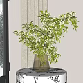 Transparent Vase With Green Branches And White Small Flowers On Round Patterned Table Curtain Backdrop 3d model