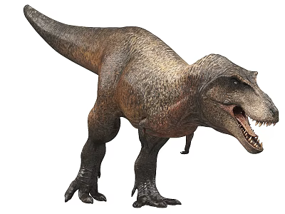 Realistic T Rex Dinosaur Model With Open Mouth And Scaled Skin 3d model