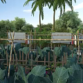 Garden Landscape With Wooden Fence Bamboo Structures Palm Trees Green Plants And Blue Sky