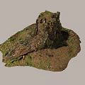 Natural Stone And Wood Tree Stump With Green Moss And Exposed Roots On Soil