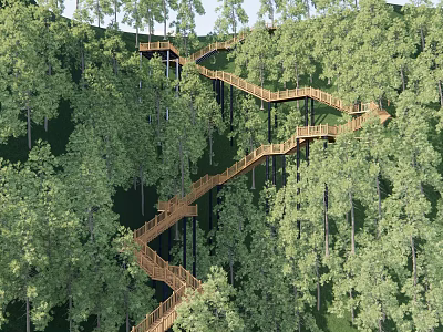 Park Landscape with Winding Wooden Walkway Among Lush Green Trees 3d model