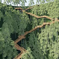 Park Landscape with Winding Wooden Walkway Among Lush Green Trees