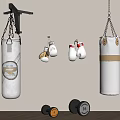 Home Sports Equipment Setup Featuring White Punching Bags Boxing Gloves And Dumbbells