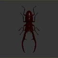 Crimson 3D Rendered Beetle With Long Antennae And Large Mandibles On Dark Background