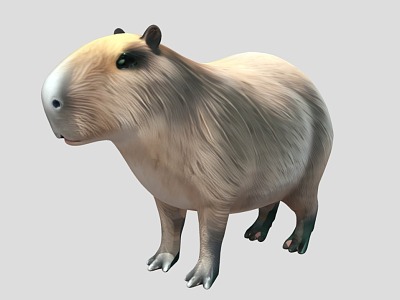 Capibala guinea pig Capibala 3d model