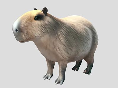 Capybara Reptile With Thick Brown Fur And Short Legs Standing On Gray Background 3d model