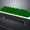 Black Bathtub With White Rim And Metal Legs Filled With Green Grass