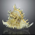 Conch Shell Featuring Yellowish White Color Detailed Texture Spiky Edges And Reflection On Dark Background