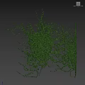 Lush Green Ivy Vines Climbing Exterior Wall With Dense Natural Foliage