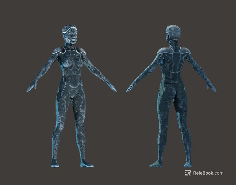 Blue Humanoid Biomechanical Characters With Front And Back Views And Detailed Body Structure 3d model 