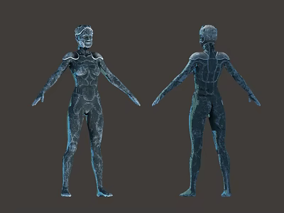 Blue Humanoid Biomechanical Characters With Front And Back Views And Detailed Body Structure 3d model