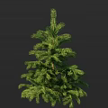Evergreen Tree with Lush Natural Green Foliage and Full Branches Design