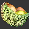 Ripe Durian Cut Open On Dark Background Showing Yellow Flesh And Spiky Outer Shell