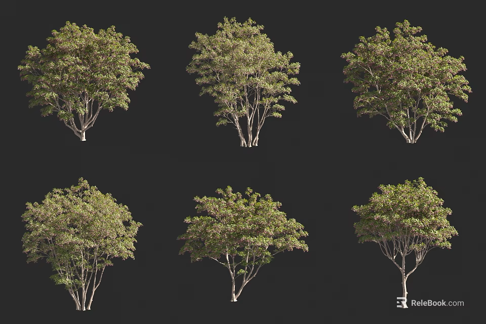 Collection Of Arbor Trees Featuring Lush Green Foliage And Various Trunk Shapes 3d model 