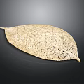 Natural Dried Plant Leaf Featuring Many Small Holes On Dark Background