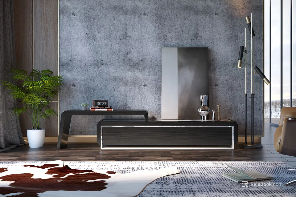 Modern TV Stand with Concrete Wall Floor Lamp Potted Plant and Area Rug 3d model 