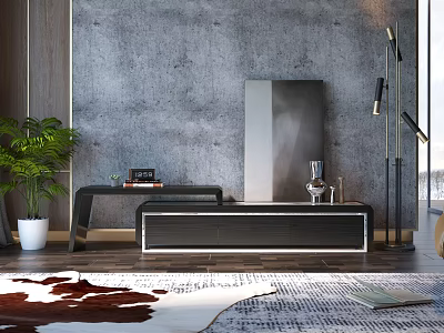 Modern TV Stand with Concrete Wall Floor Lamp Potted Plant and Area Rug 3d model