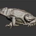 3D Rendered Reptile Toad With Detailed Skin Texture Standing On Black Background With Reflection
