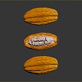 Mango Cocoa Bean Cocoa Fruit 3d model