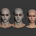 Three Hairless Human Head Models With Detailed Facial Organs And Features