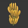 Fresh Yellow Bananas Bunch with Ripe Fruits on White Background
