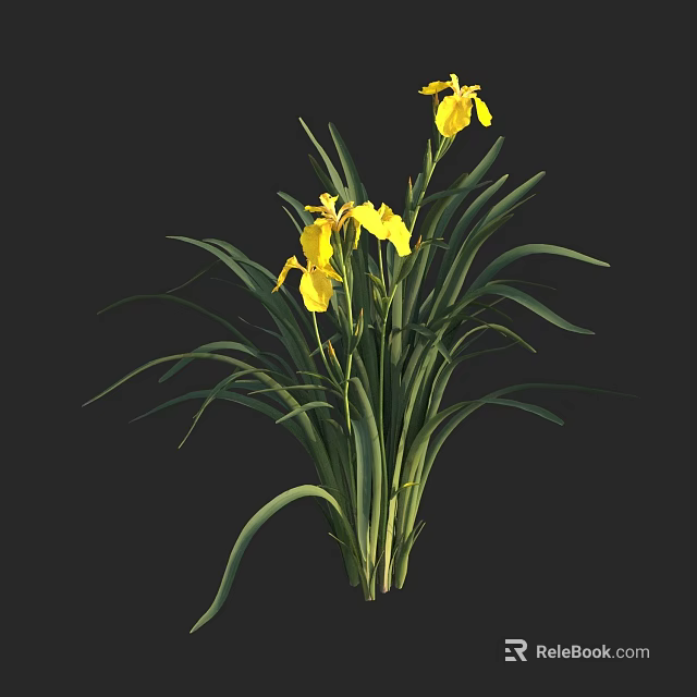 Beautiful Aquatic Plant Featuring Yellow Flowers And Long Green Leaves 3d model 