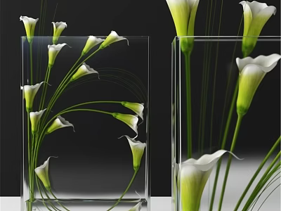 Decorative Ornament Set with Clear Glass Square Vases and White Green Calla Lilies 3d model