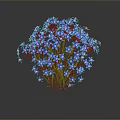 Vibrant Blue Flowering Plant With Small Blooms And Green Stems
