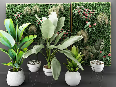 Multiple Bonsai Potted Plants With Green Plant Wall And White Planters 3d model