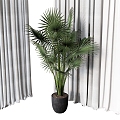 flowerpot potted trees turtle back tropical plants 3d model