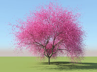 Vibrant Pink Blossom Arbor Standing Tall Against Blue Sky And Green Grass 3d model