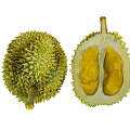 Fresh Ripe Whole And Halved Durian Fruit Showing Yellow Flesh Inside