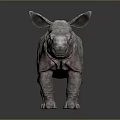 Realistic 3D Baby Rhinoceros Model With Gray Wrinkled Skin Small Horn And Smooth Surface