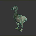 Dodo Bird With Brown Feathers Yellow Feet Black Beak Plump Body And Short Wings