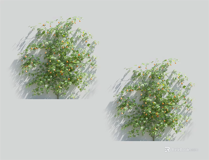 Lush Green Vine Plant With Dense Foliage And Small Yellow Flowers 3d model 