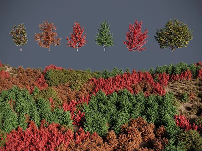 Diverse Colorful Shrubs with Red Green Brown Foliage in Landscape Arrangement 3d model