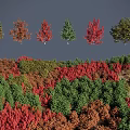 Diverse Colorful Shrubs with Red Green Brown Foliage in Landscape Arrangement