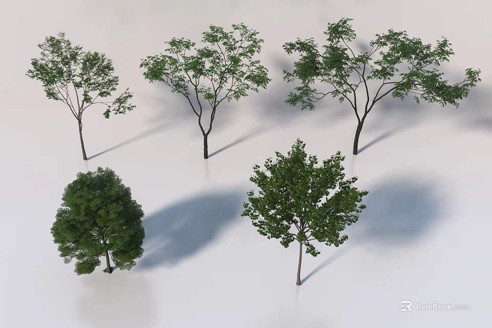 Various Arbor Trees with Green Foliage in Different Shapes and Shadows 3d model