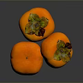 Persimmon Sketches Fruit Items 3d model