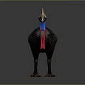 Cassowary With Blue Neck Red Wattle And Brown Feathers In Standing Posture Against Dark Background