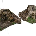Rustic Wood Stumps On Natural Ground With Stone And Green Moss
