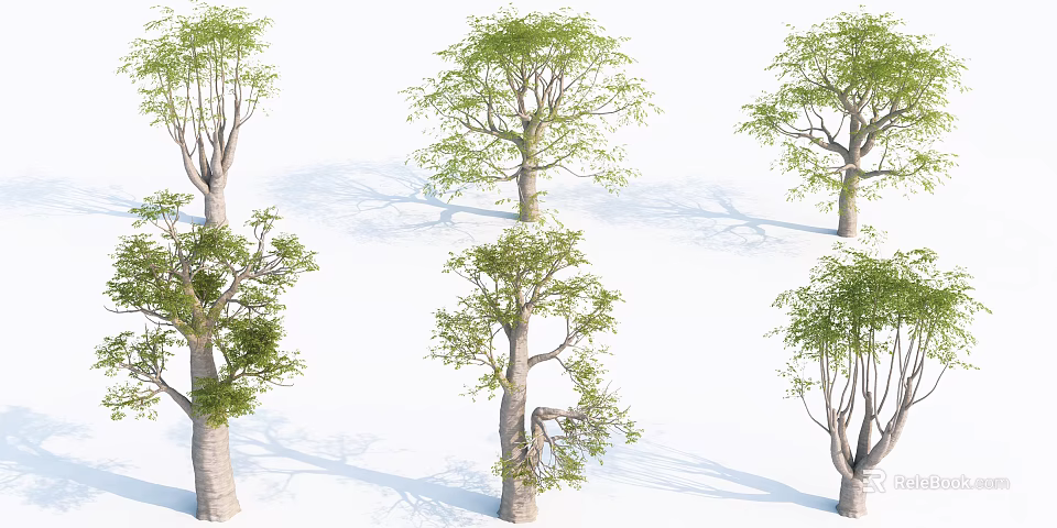 Diverse Arbor Trees With Green Foliage And Textured Trunks Casting Shadows 3d model