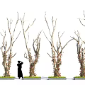 Vines Growing On Bare Trees With Figure And Flower Beds 3d model