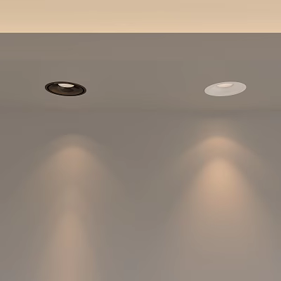 Recessed Ceiling Downlights And Spotlights With Adjustable Warm And Cool White Lighting Effects 3d model