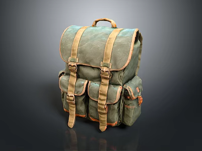 Olive Green Canvas Backpack With Multiple Pockets And Brown Straps For Daily Use 3d model