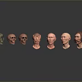 Medical Anatomical Head Models For Education Showing Skull To Facial Structures